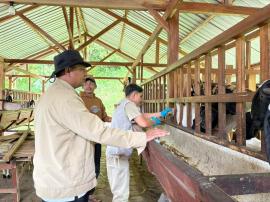 Pelayanan Posyandu Hewan : Kandang Kambing Badan Usaha Milik Kalurahan (Bumkal) Maju Bersama Sasaran